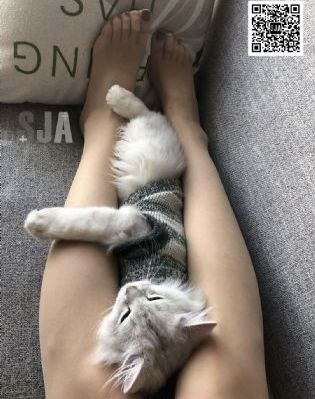 客厅乱h乱亲女视频_在线播放高清